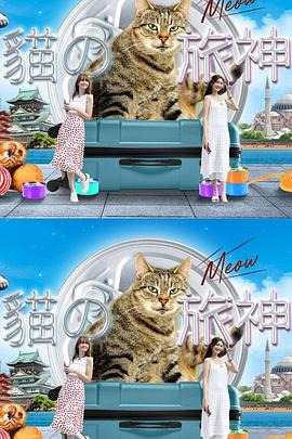 猫之旅神粤语版在线观看